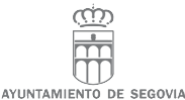 ayuntamiento de segovia